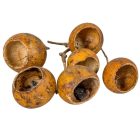 Bell cup mini natúr 33db-os csomag