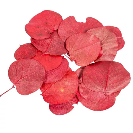 Moneta levél piros 6dkg/csom