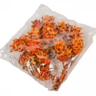 Plumosum fej narancs 10dkg/csomag