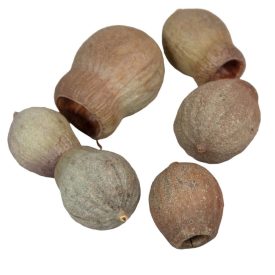 Eukalyptus/Bell Gum natúr 22dkg/csomag