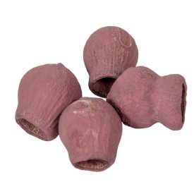 Eukalyptus/Bell Gum falfestékes szeder 15dkg/csomag