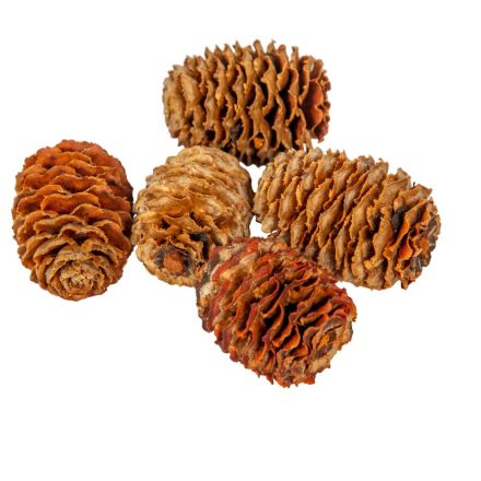 Meridianum narancs 16dkg/csom