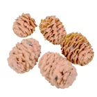 Meridianum barack 16dkg/csomag