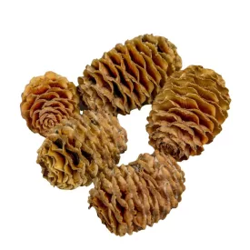 Sabulosum natúr 16dkg/csom
