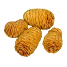 Sabulosum krém 13dkg/csom