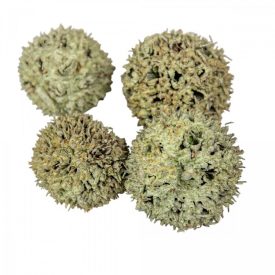 Ámbrafa termés kínai falfestékes világoszöld 14dkg/csom   Ámbrafa termés kínai falfestékes világoszöld 14dkg/csom