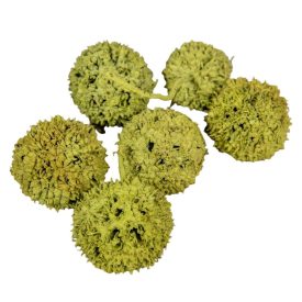 Ámbrafa termés olíva 14dkg/csom Ámbrafa termés olíva 14dkg/csom