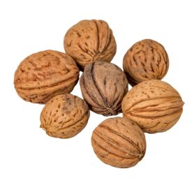 Barackmag mini natúr 15dkg/csom Barackmag mini natúr 15dkg/csom