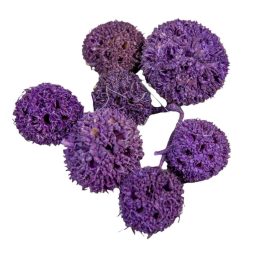 Ámbrafa termés kínai lila 6dkg/csom Ámbrafa termés kínai lila 6dkg/csom