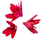 Fa tölcsér virág 6cm piros