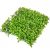 Buxus alap zöld 25x25cm