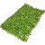 Buxus alap zöld 40x60cm