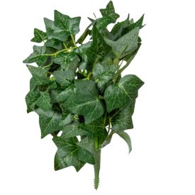 Borostyán bokor 26cm Borostyán bokor 26cm