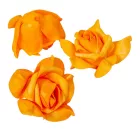 Polifoam rózsafej LTOR D6cm M4cm 12db-os csomag