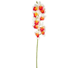 Orchidea ág gumi bordó-krém 77cm Orchidea ág gumi bordó-krém 77cm