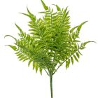 Páfrányleveles bokor 7 ágú 44cm