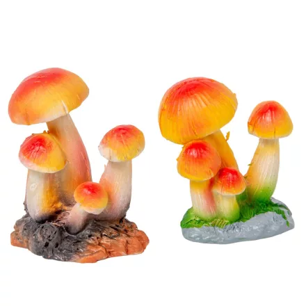 Gomba poly 5,5cm