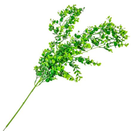 Eukaliptusz futó 80cm
