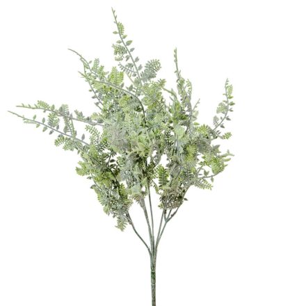 Páfrány bokor 7 ágú 40cm
