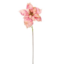 Mikulás virág szálas 80cm Mikulás virág szálas 80cm