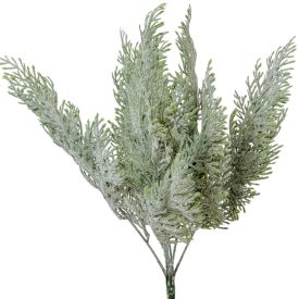 Tuja bokor hamvas 7ágú M44cm