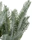 Fenyő bokorhamvas 6 ágú 44cm