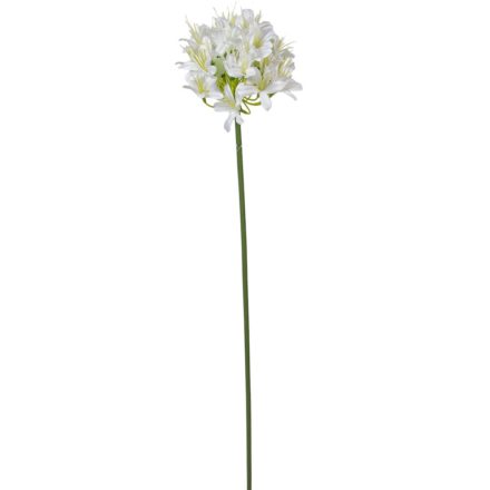 Szerelemvirág szálas krém 74cm
