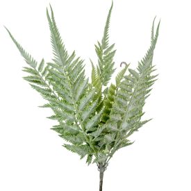 Páfrány bokor 11 ágú 58cm