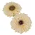 Gerbera virágfej őszi krém 12cm 4 darabos csomagban rendelhető (darab ár!)