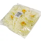 Gerbera virágfej krém 12cm 4 darabos csomagban rendelhető (darab ár!)
