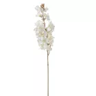 Gyömölcs ág krém 68cm