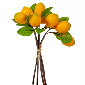 Citrom termés köteg 32cm