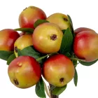 Alma termés köteg piros-zöld 32cm