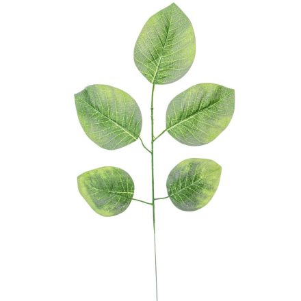 Leveles ág 56cm