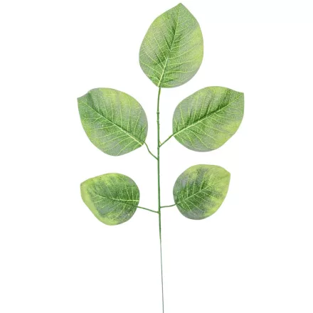 Leveles ág 56cm