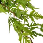 Páfrány futó 80cm