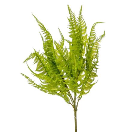 Páfrány bokor 7 ágú 46cm