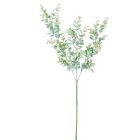 Eukaliptusz ág 67cm