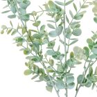 Eukaliptusz ág 67cm