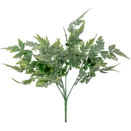 Páfrány bokor hamvas 5 ágú 36cm