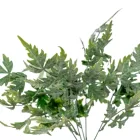 Páfrány bokor hamvas 5 ágú 36cm