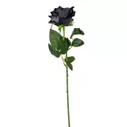 Rózsa szálas bársony fekete 50cm