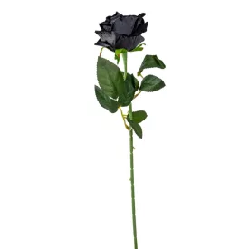Rózsa szálas bársony fekete 50cm