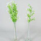 Aszparágusz szál bogyóval M55cm