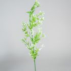 Aszparágusz szál bogyóval M55cm