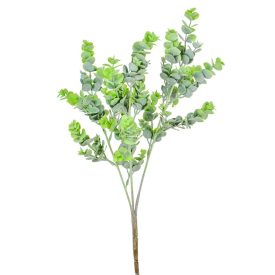 Eukaliptusz bokor 56cm