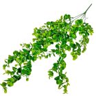 Eukaliptusz futó 5 ágú 75cm