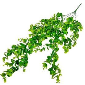 Eukaliptusz futó 5 ágú 75cm