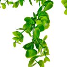 Eukaliptusz futó 5 ágú 75cm