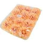 Dália virágfej D10cm lazac 12db/csom